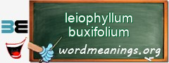 WordMeaning blackboard for leiophyllum buxifolium
